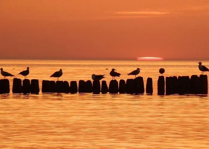 Daniela Δωμάτια σε οικογενειακή κατοικία